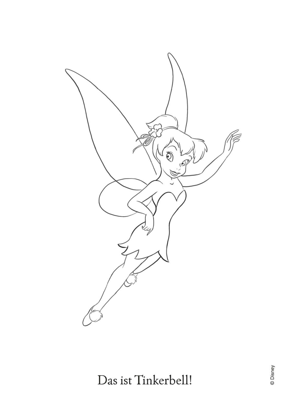 Disney Kreative Beschäftigung: Disney Fairies: Feenzauber zum Ausmalen