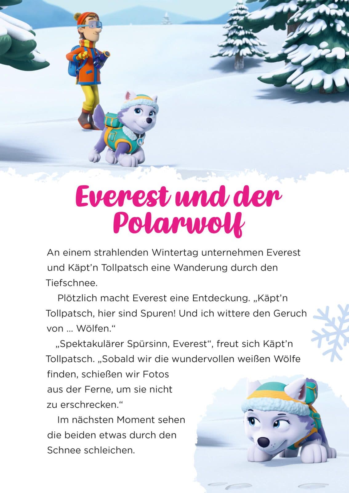PAW Patrol Geschichtenbuch: Abenteuerliche Wintergeschichten