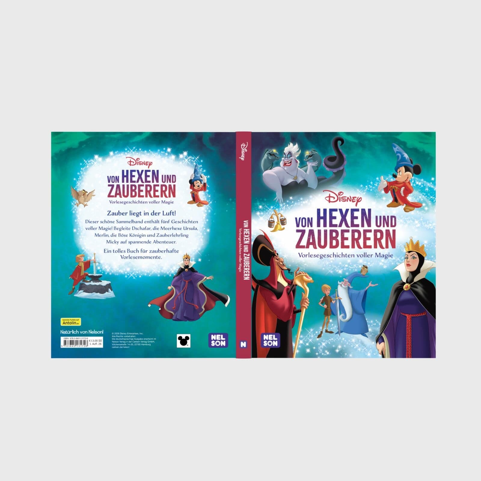 Disney Vorlesebuch: Von Hexen und Zauberern