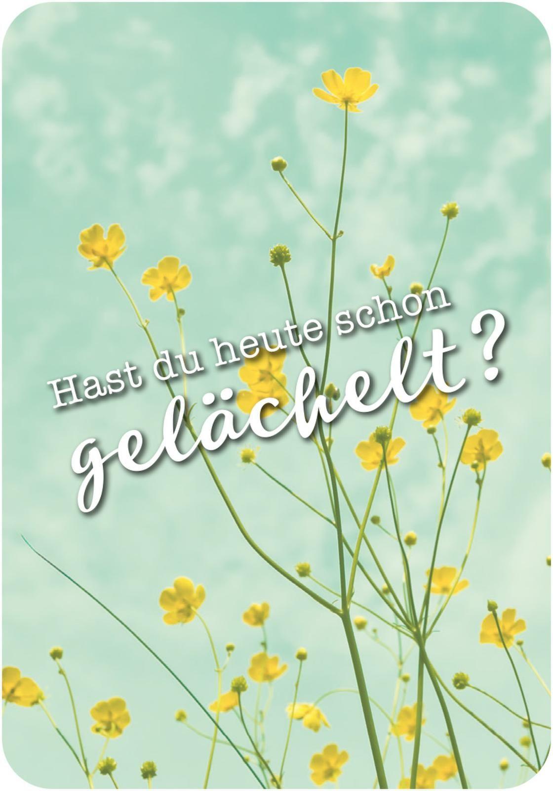 Produktbild Sei frech&wild&wunderbar! - 50 Gute-Laune-Kärtchen 2 von 2