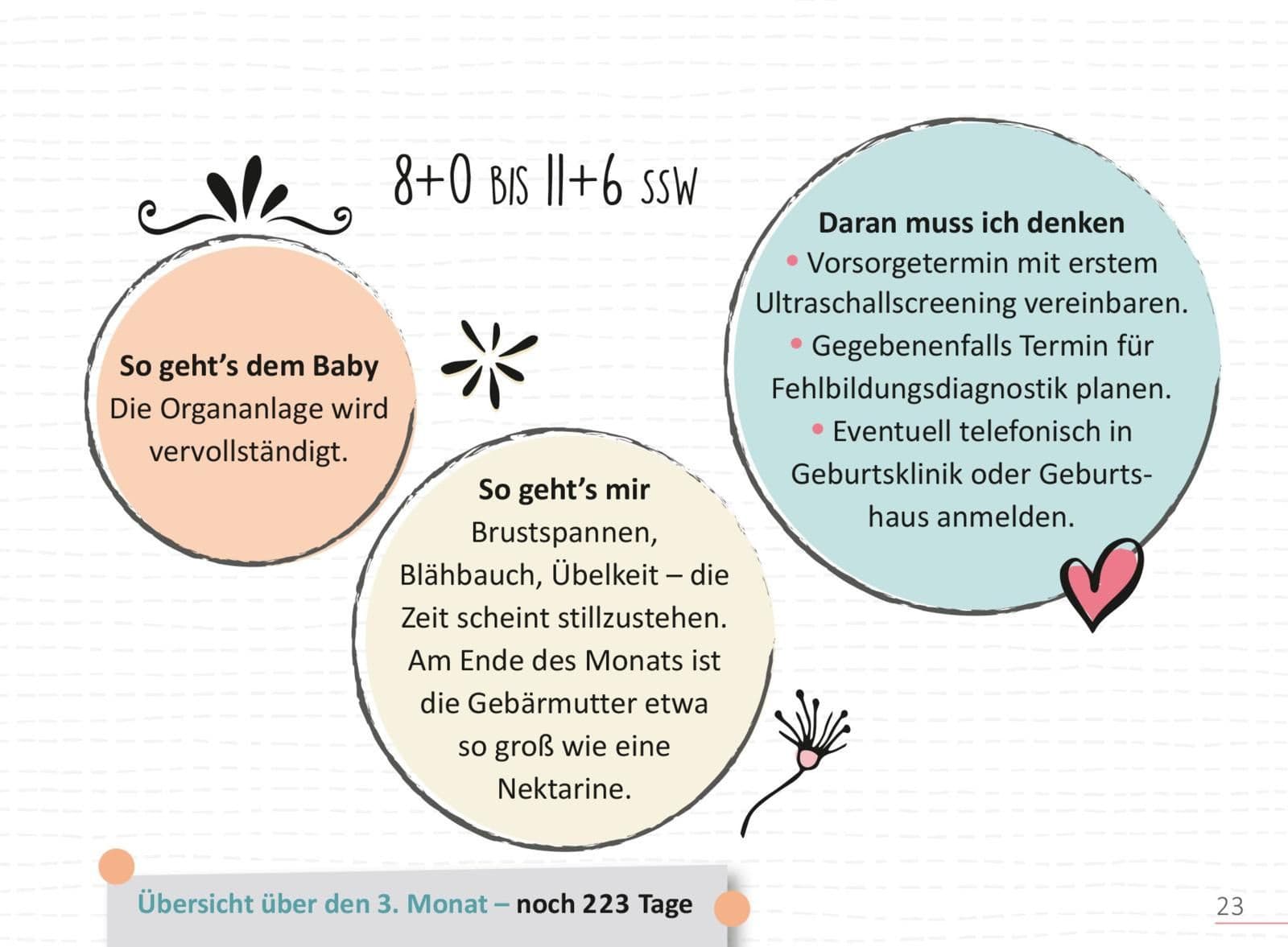 Produktbild Deine Schwangerschaft, Tag für Tag 3 von 9