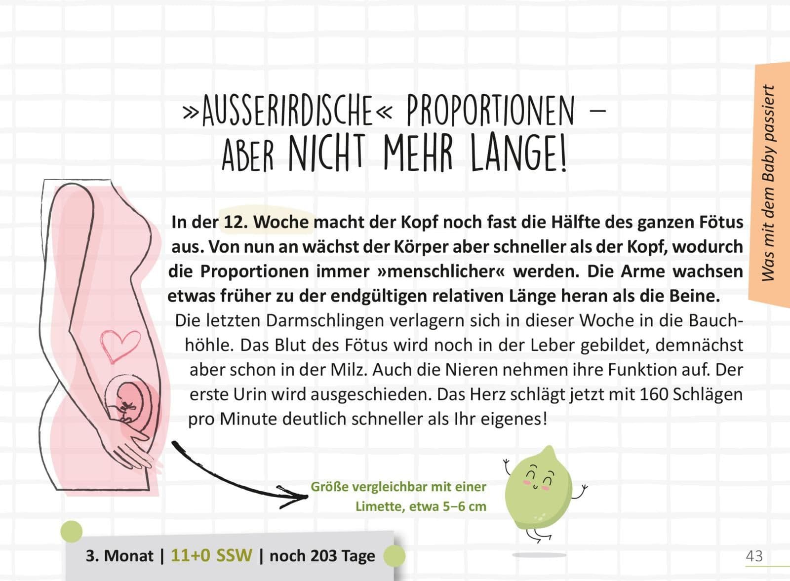 Produktbild Deine Schwangerschaft, Tag für Tag 2 von 9