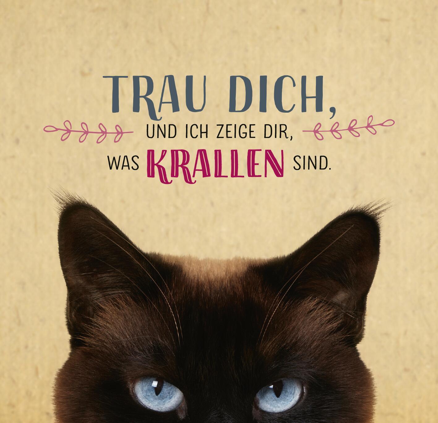 Produktbild Die ganze Wahrheit über deine Katze 6 von 6