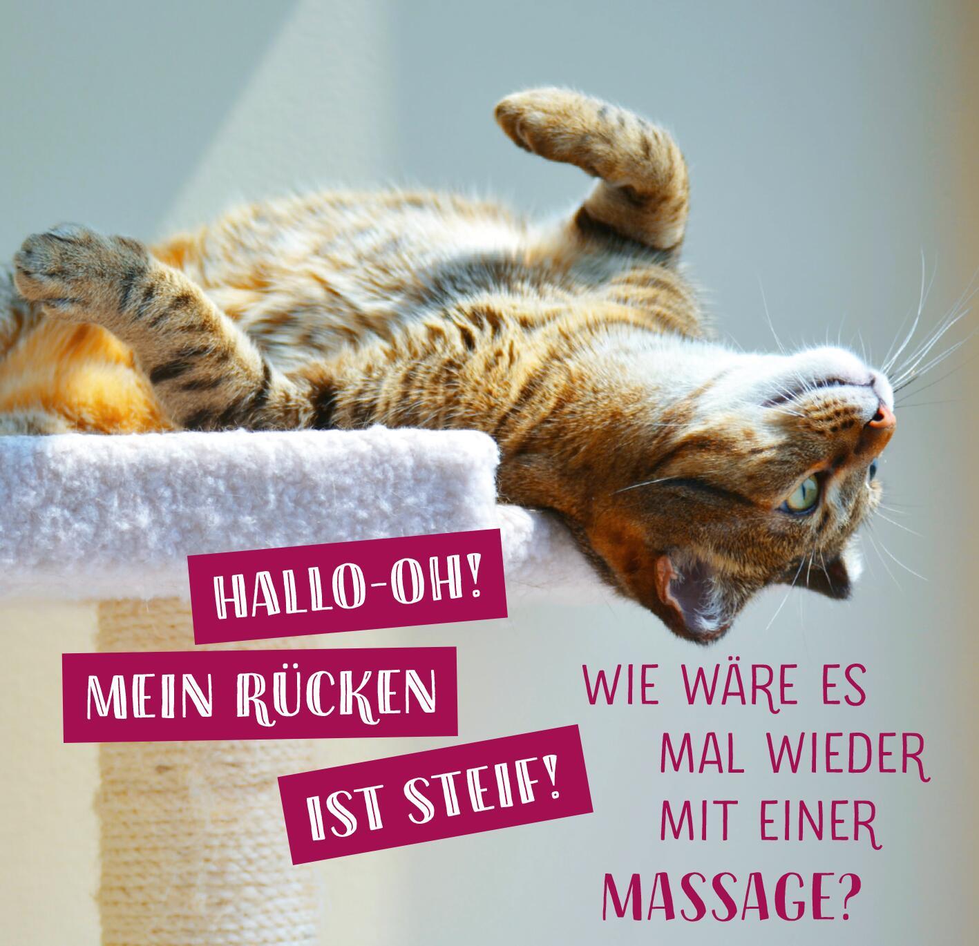 Produktbild Die ganze Wahrheit über deine Katze 3 von 6