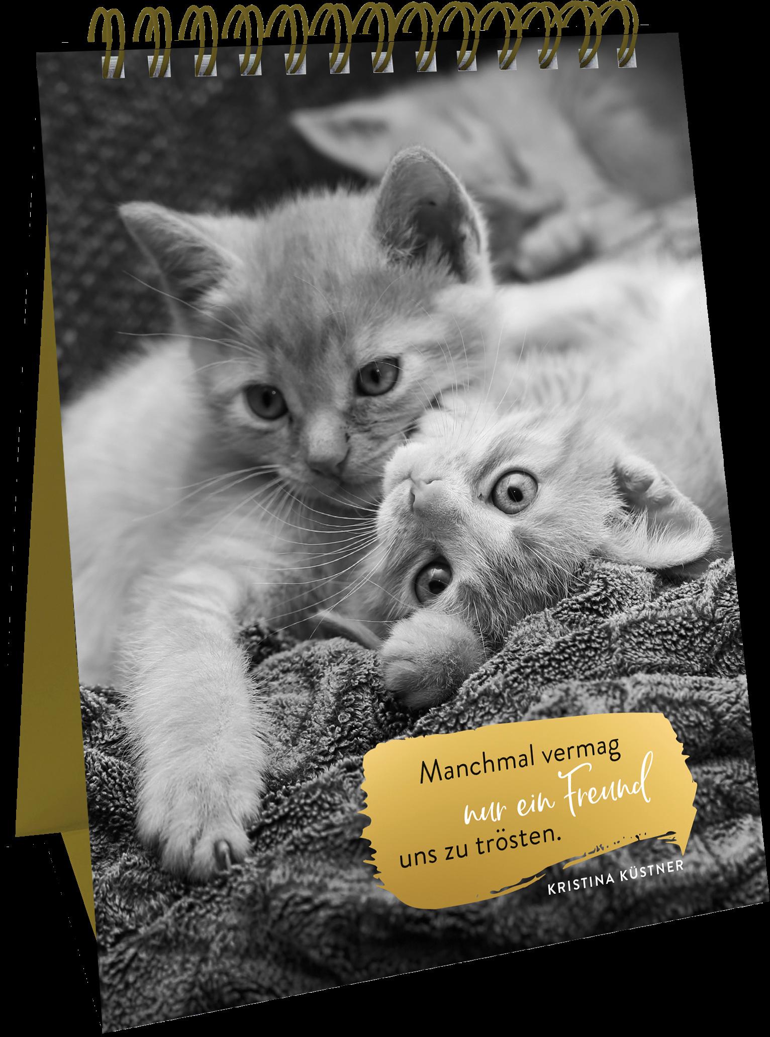 Produktbild Spiralaufsteller Goldene Katzenweisheiten - Edles Geschenk mit ästhetischen Schwarz-weiß-Fotografien und Katzenweisheiten 2 von 5