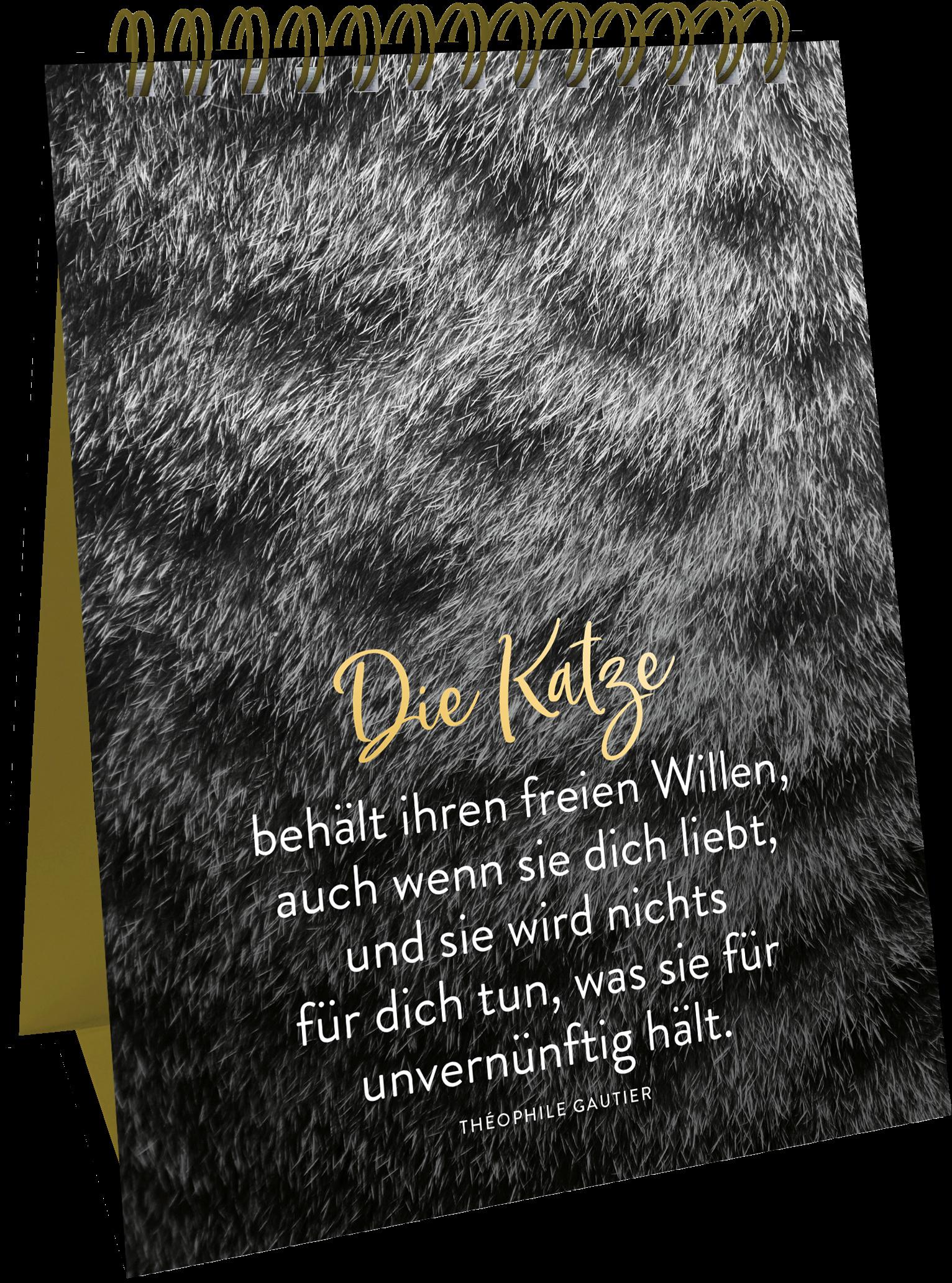 Produktbild Spiralaufsteller Goldene Katzenweisheiten - Edles Geschenk mit ästhetischen Schwarz-weiß-Fotografien und Katzenweisheiten 3 von 5