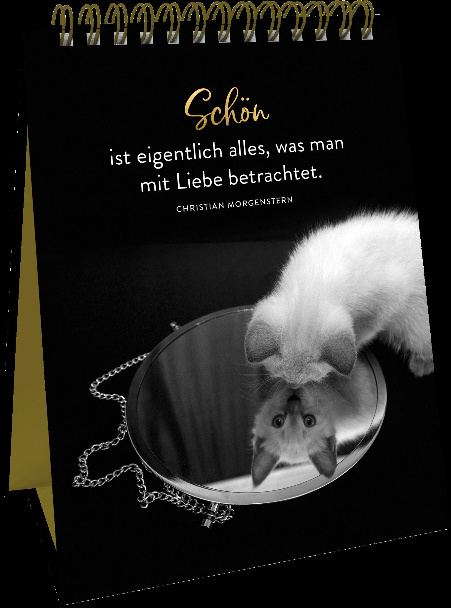 Produktbild Spiralaufsteller Goldene Katzenweisheiten - Edles Geschenk mit ästhetischen Schwarz-weiß-Fotografien und Katzenweisheiten 4 von 5