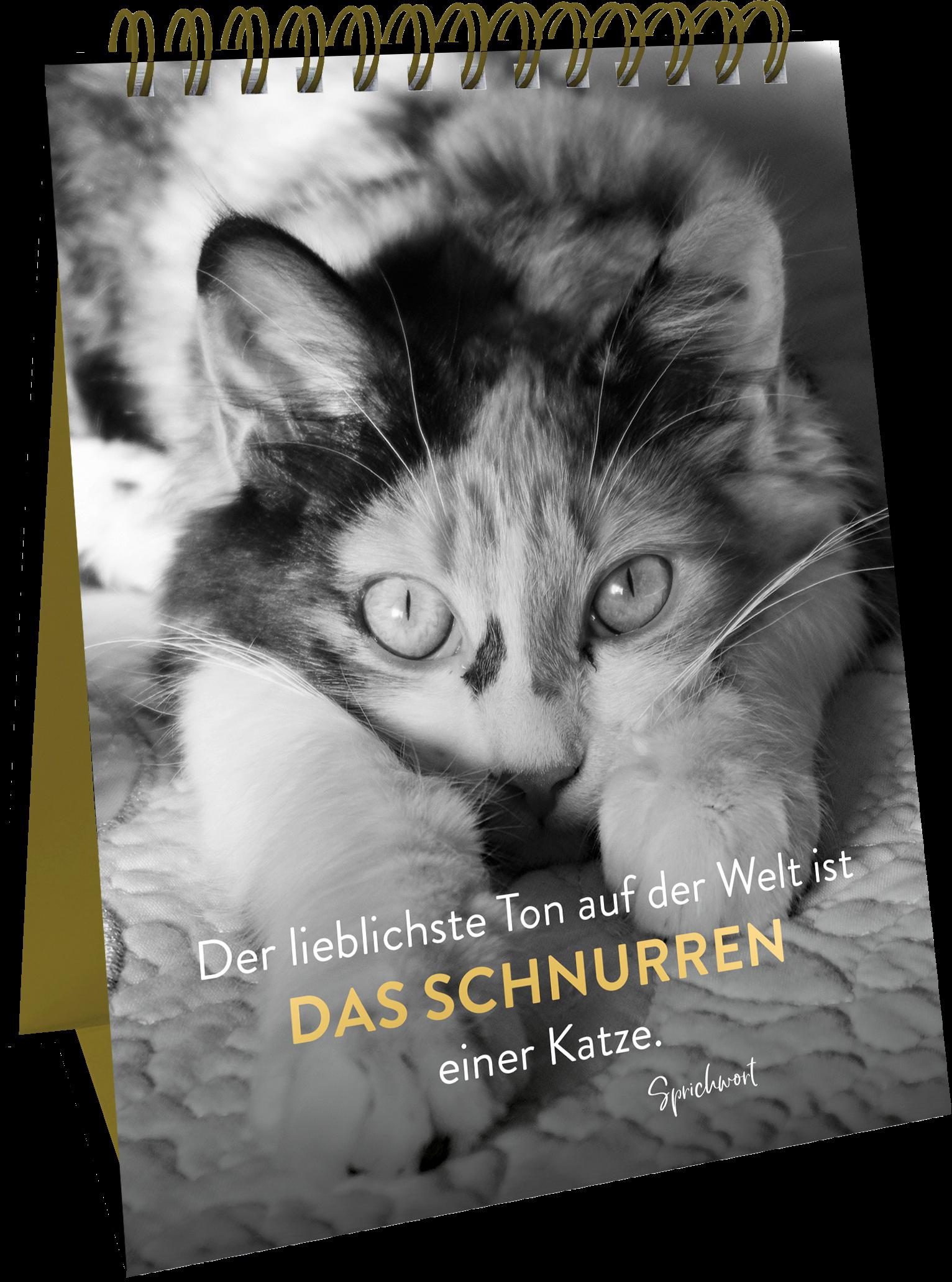 Produktbild Spiralaufsteller Goldene Katzenweisheiten - Edles Geschenk mit ästhetischen Schwarz-weiß-Fotografien und Katzenweisheiten 5 von 5