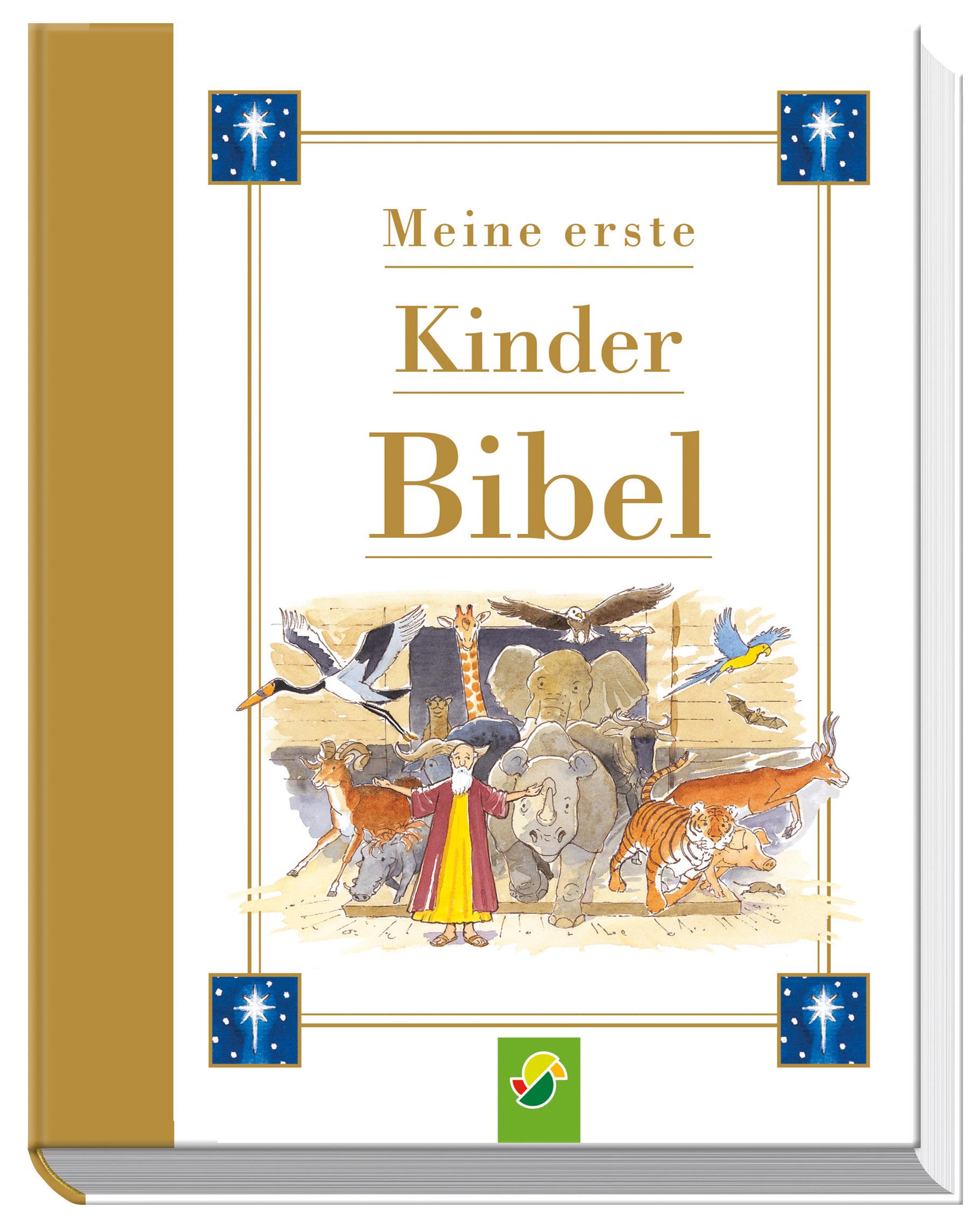 Meine erste Kinderbibel - Ein bunt illustrierter Begleiter mit kindgerechten ersten Bibelgeschichten