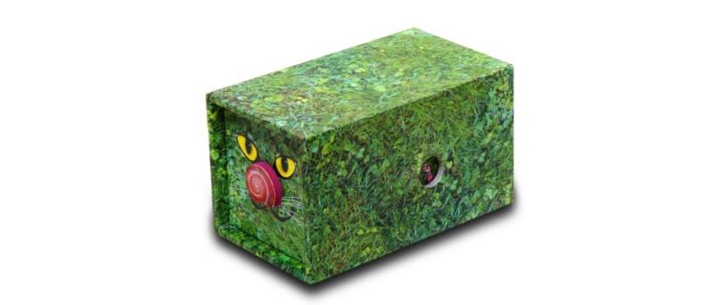 MeterMorphosen Versteckt! Entdeckt? MET00656
