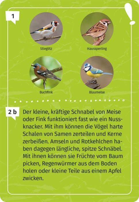 Produktbild moses. - Mein Vogel-Forscherquiz 7 von 7