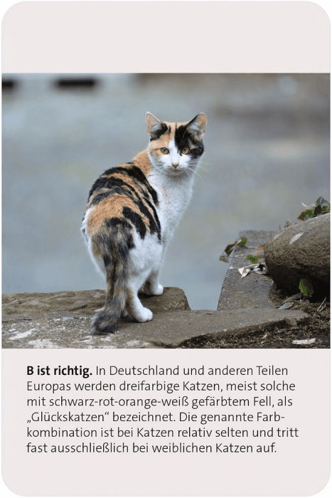 Produktbild moses. - Das große Katzen Quiz 11 von 11