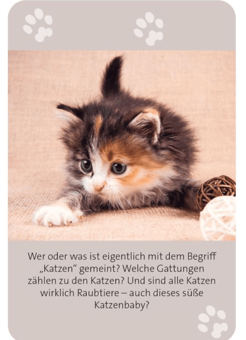 Produktbild moses. - Das große Katzen Quiz 9 von 11