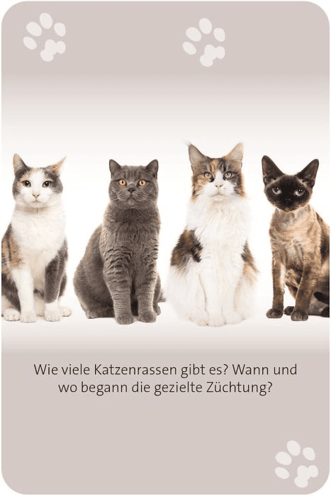 Produktbild moses. - Das große Katzen Quiz 7 von 11
