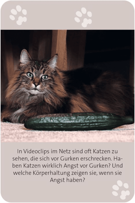 Produktbild moses. - Das große Katzen Quiz 5 von 11