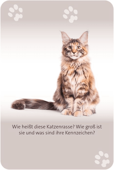 Produktbild moses. - Das große Katzen Quiz 3 von 11