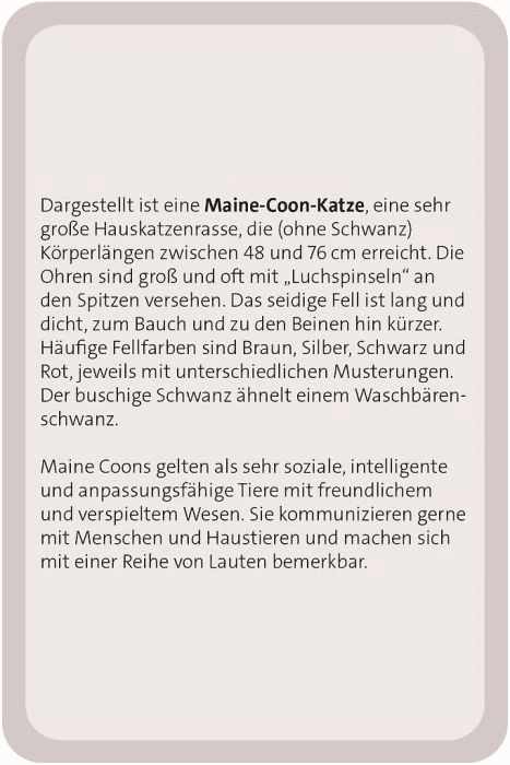Produktbild moses. - Das große Katzen Quiz 2 von 11