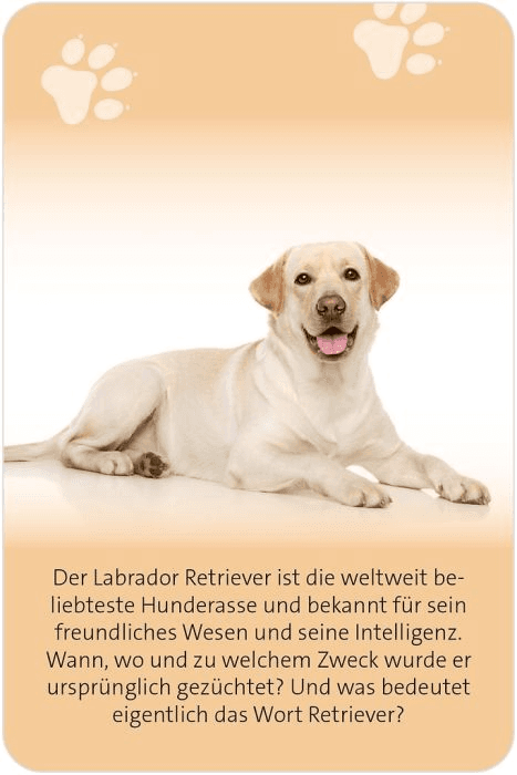 Produktbild moses. - Das große Hunde Quiz 9 von 9