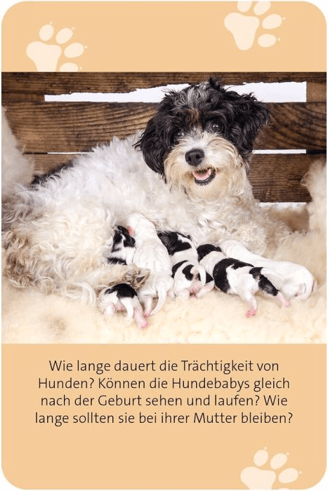 Produktbild moses. - Das große Hunde Quiz 3 von 9