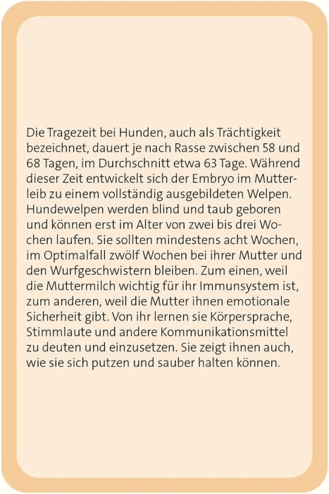 Produktbild moses. - Das große Hunde Quiz 2 von 9