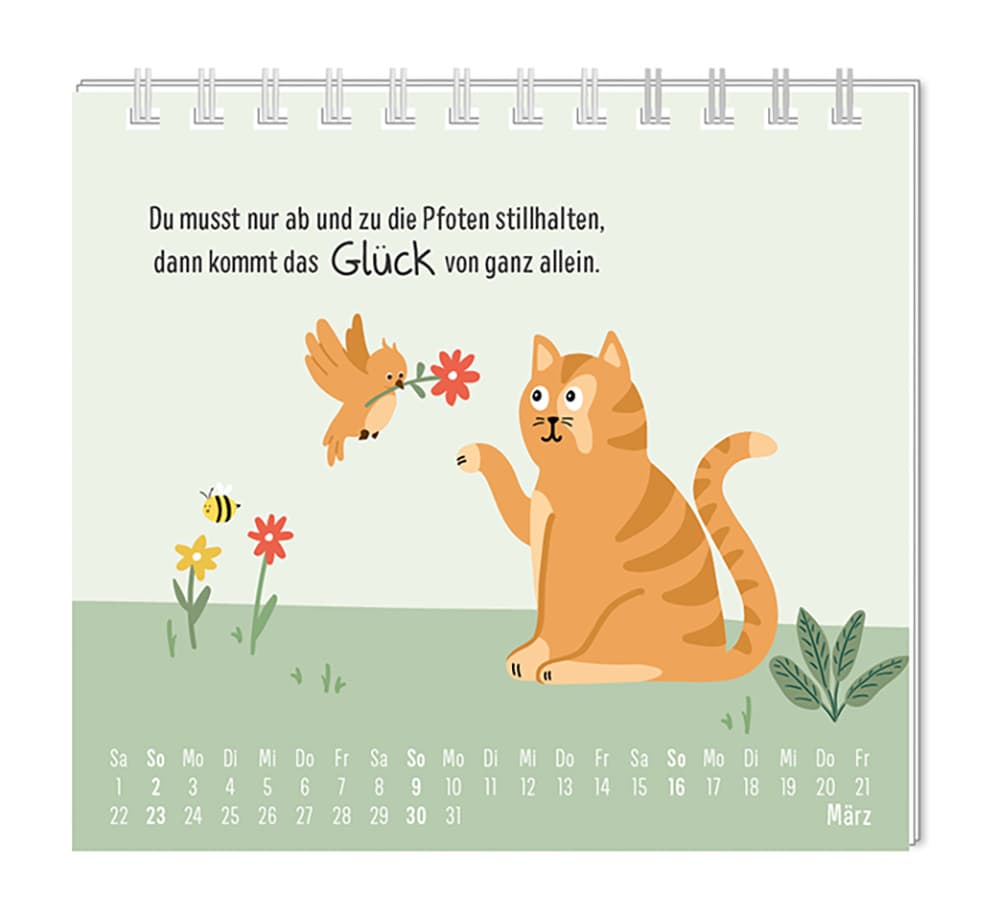 Produktbild GRAFiK WERKSTATT Mini-Kalender 2025 Katzen 4 von 4