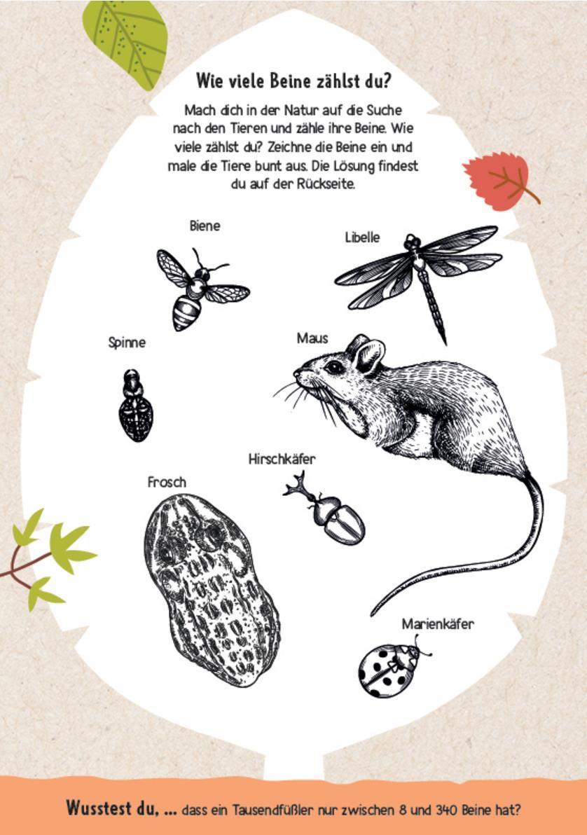 Produktbild Natur-Challenges 6 von 9