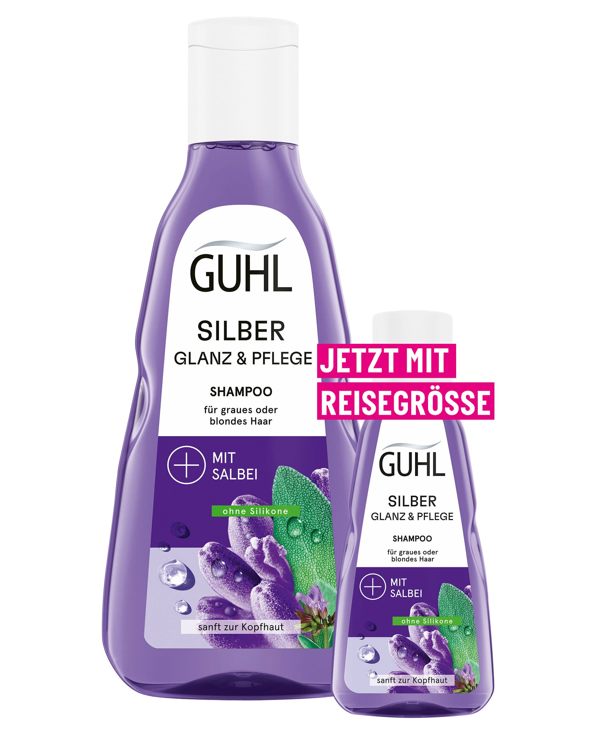 GUHL Silberglanz & Pflege Shampoo + Mini