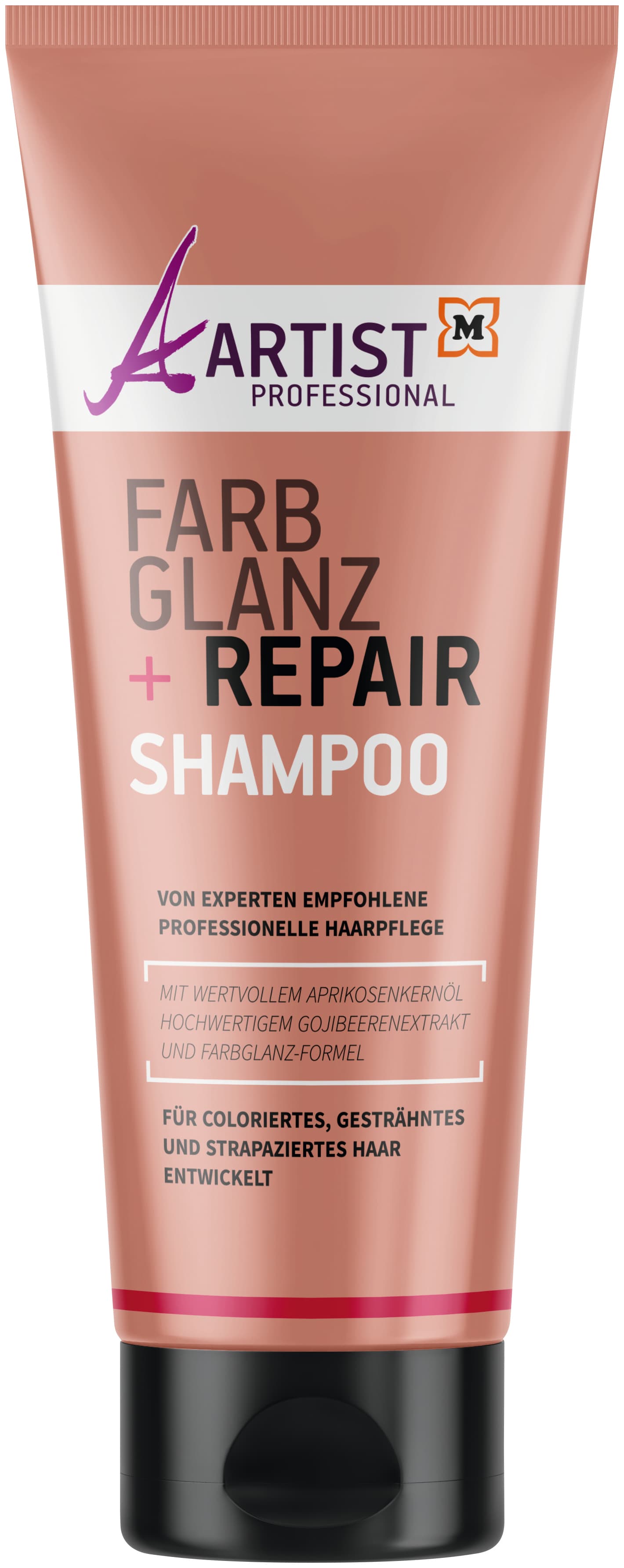 ARTIST Professional Farbglanz + Repair Shampoo