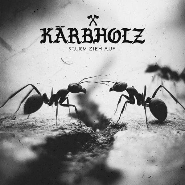 Sturm zieh auf (Ltd Natural Black Marbled Vinyl)