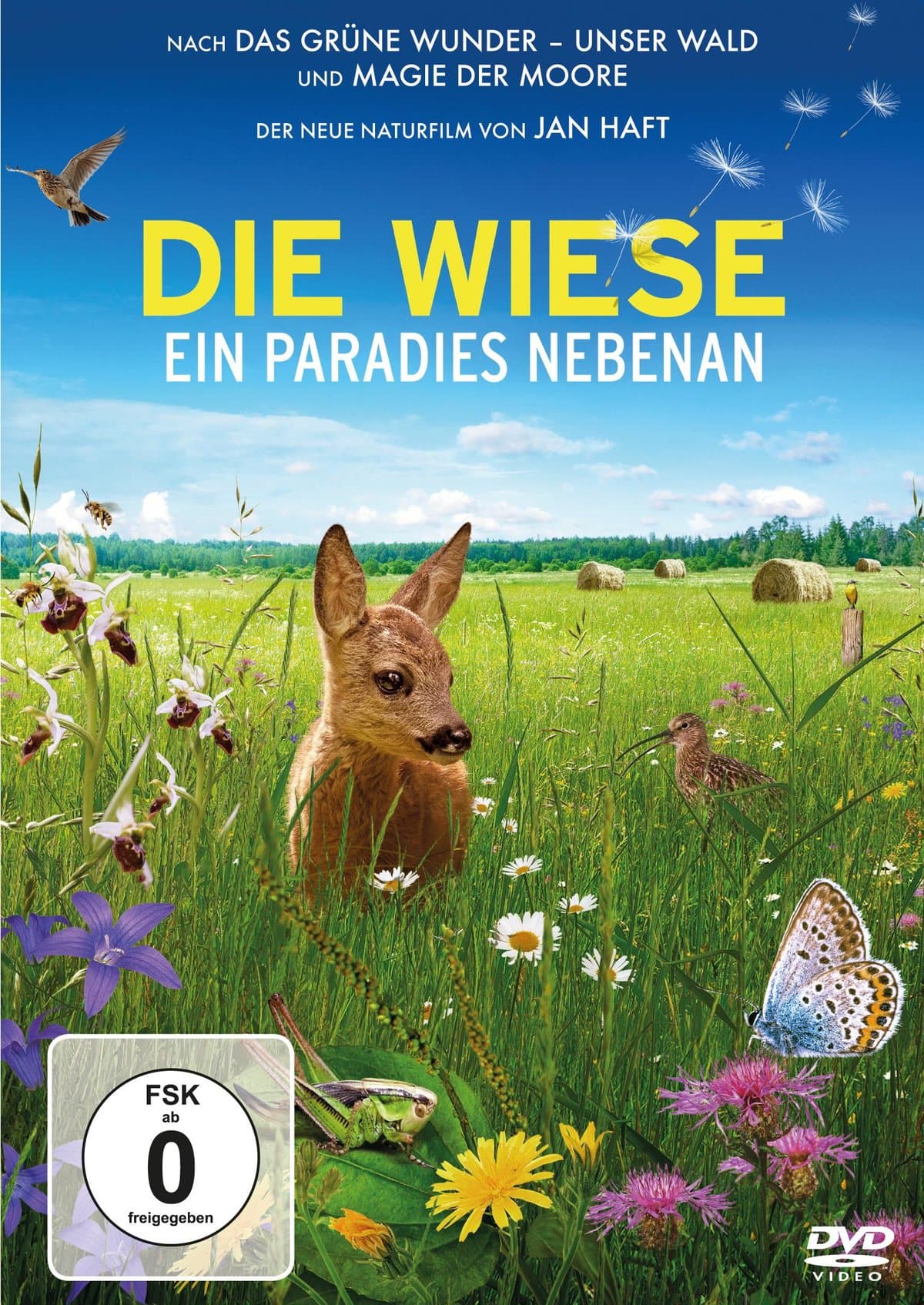 DIE WIESE - Ein Paradies nebenan