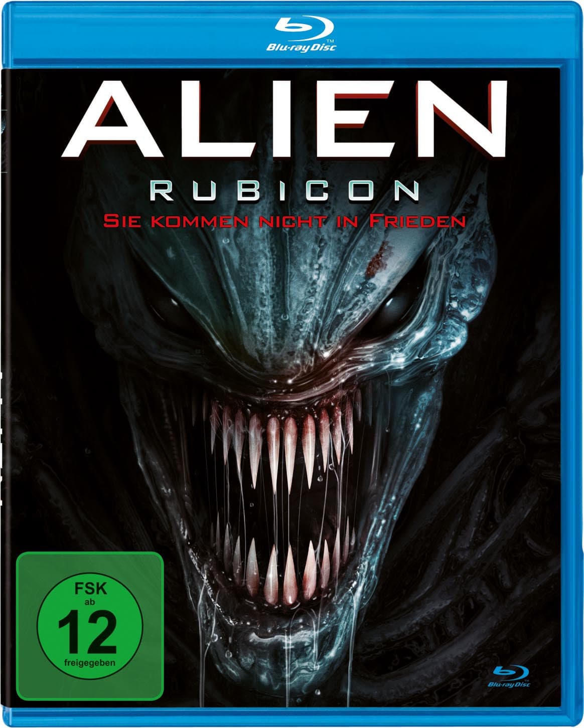 Alien Rubicon - Sie kommen nicht in Frieden