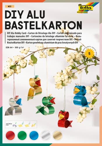 folia DIY Alu Bastelkarton Mix 300g/m²