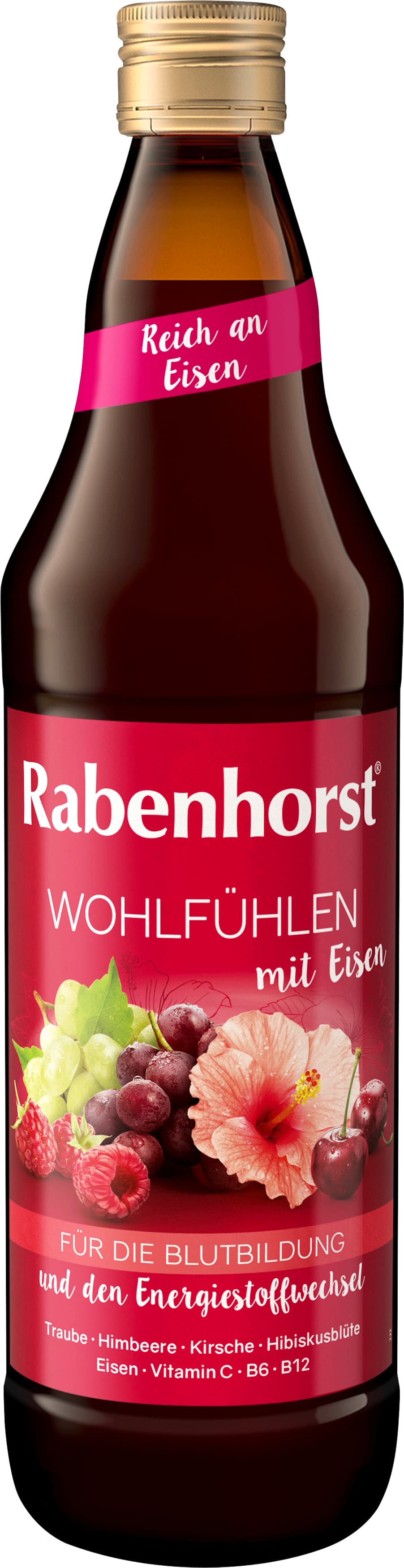 Rabenhorst Wohlfühlen mit Eisen 700 ml
