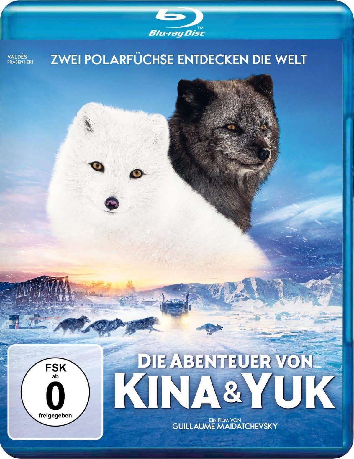 Die Abenteuer von Kina & Yuk - Zwei Polarfüchse entdecken die Welt