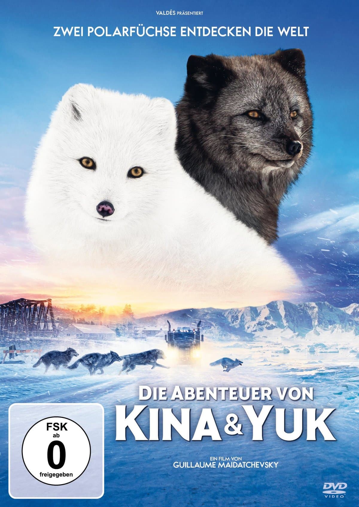 Die Abenteuer von Kina & Yuk - Zwei Polarfüchse entdecken die Welt