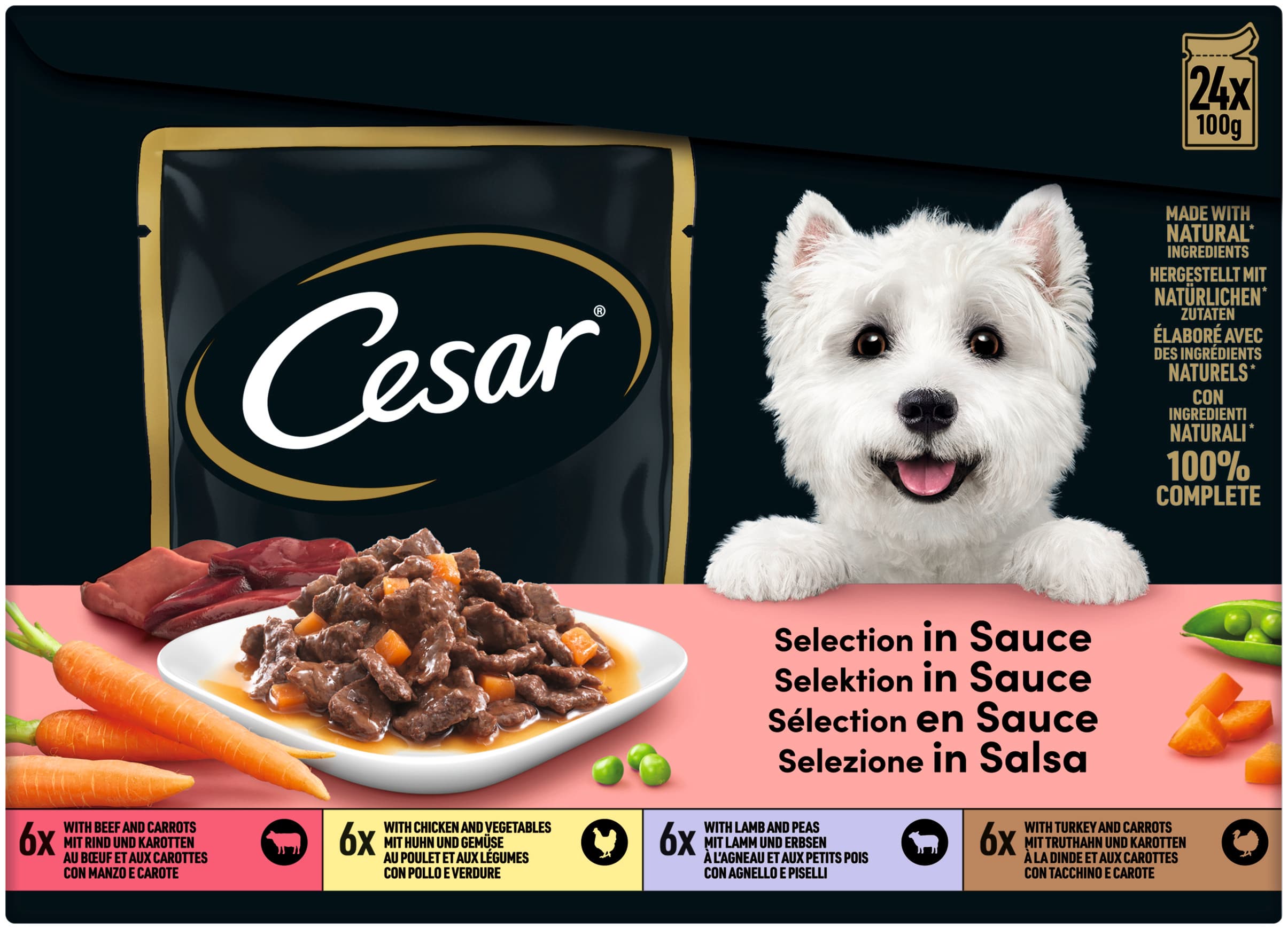 Cesar Hundenassfutter Selection in Sauce Multipack