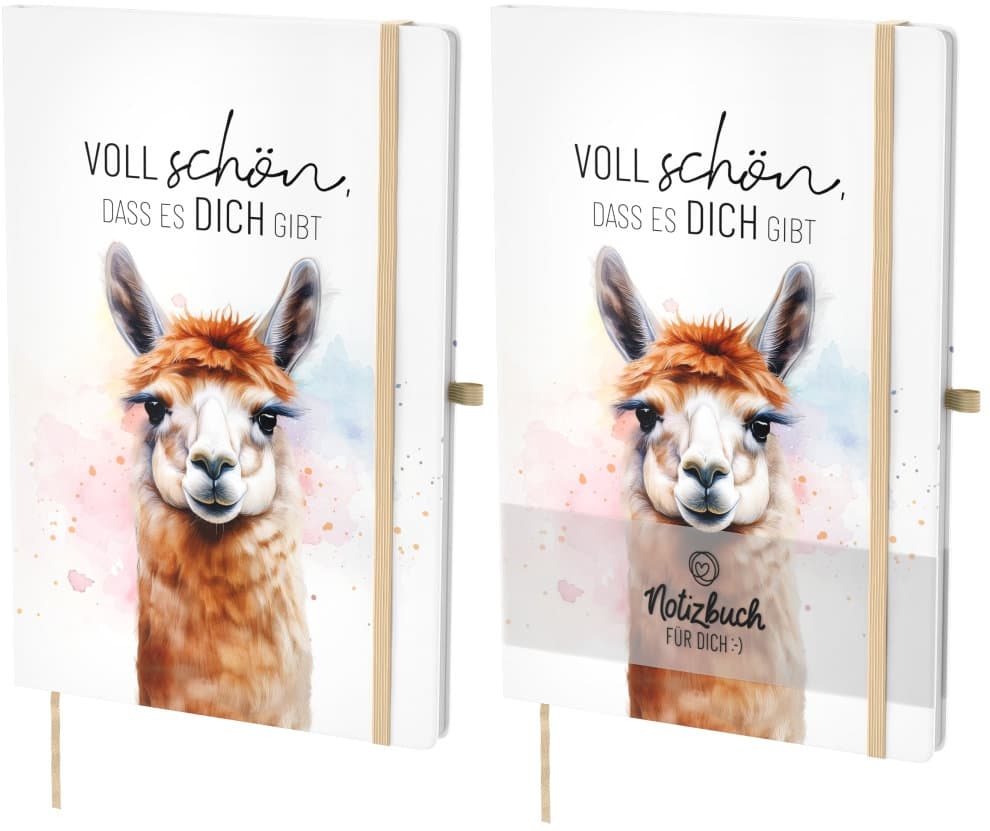 Geschenk für Dich Notizbuch A5 Voll schön, dass es Dich gibt