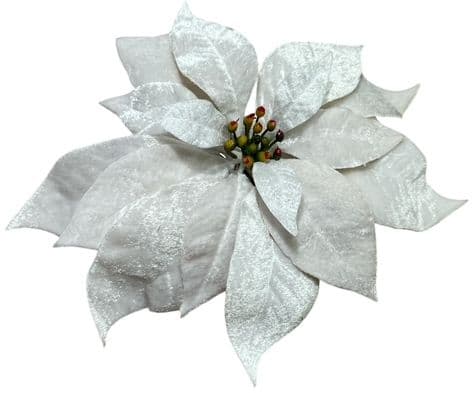 Poinsettia mit Clip