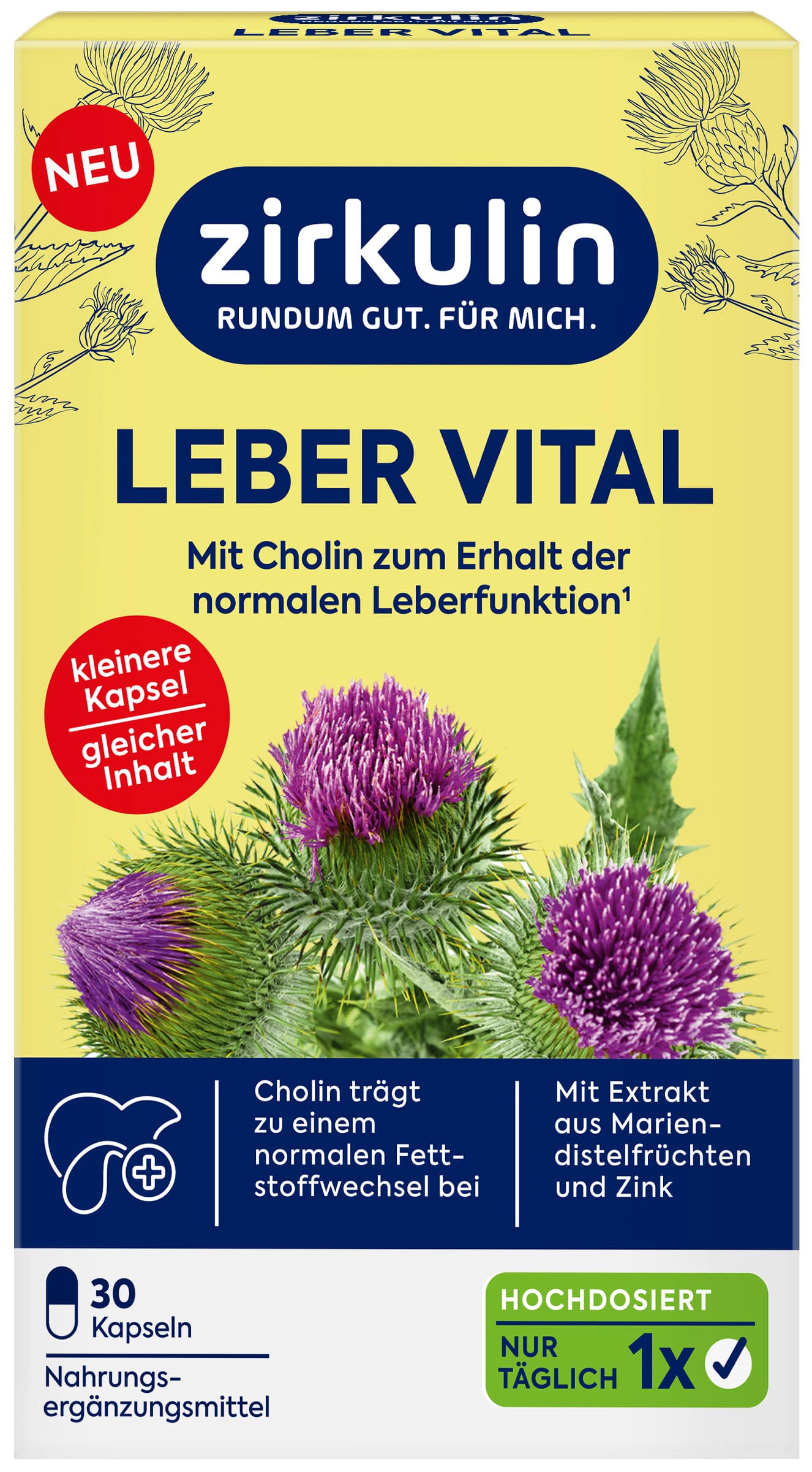 Zirkulin Leber Vital