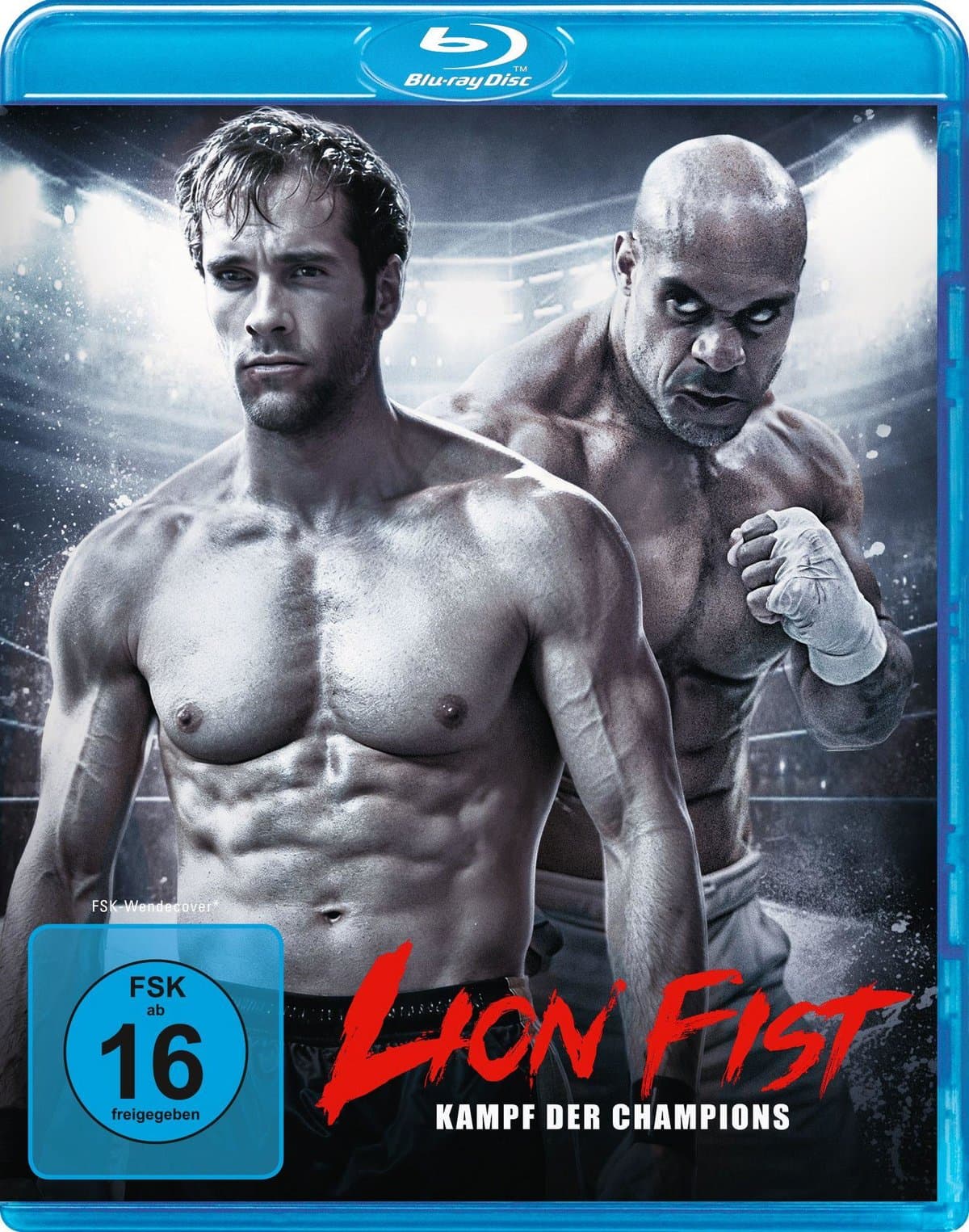Lion Fist - Kampf der Champions