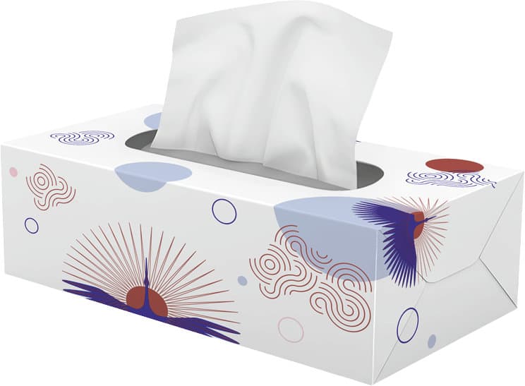 Duchesse Kosmetiktücherbox XXL