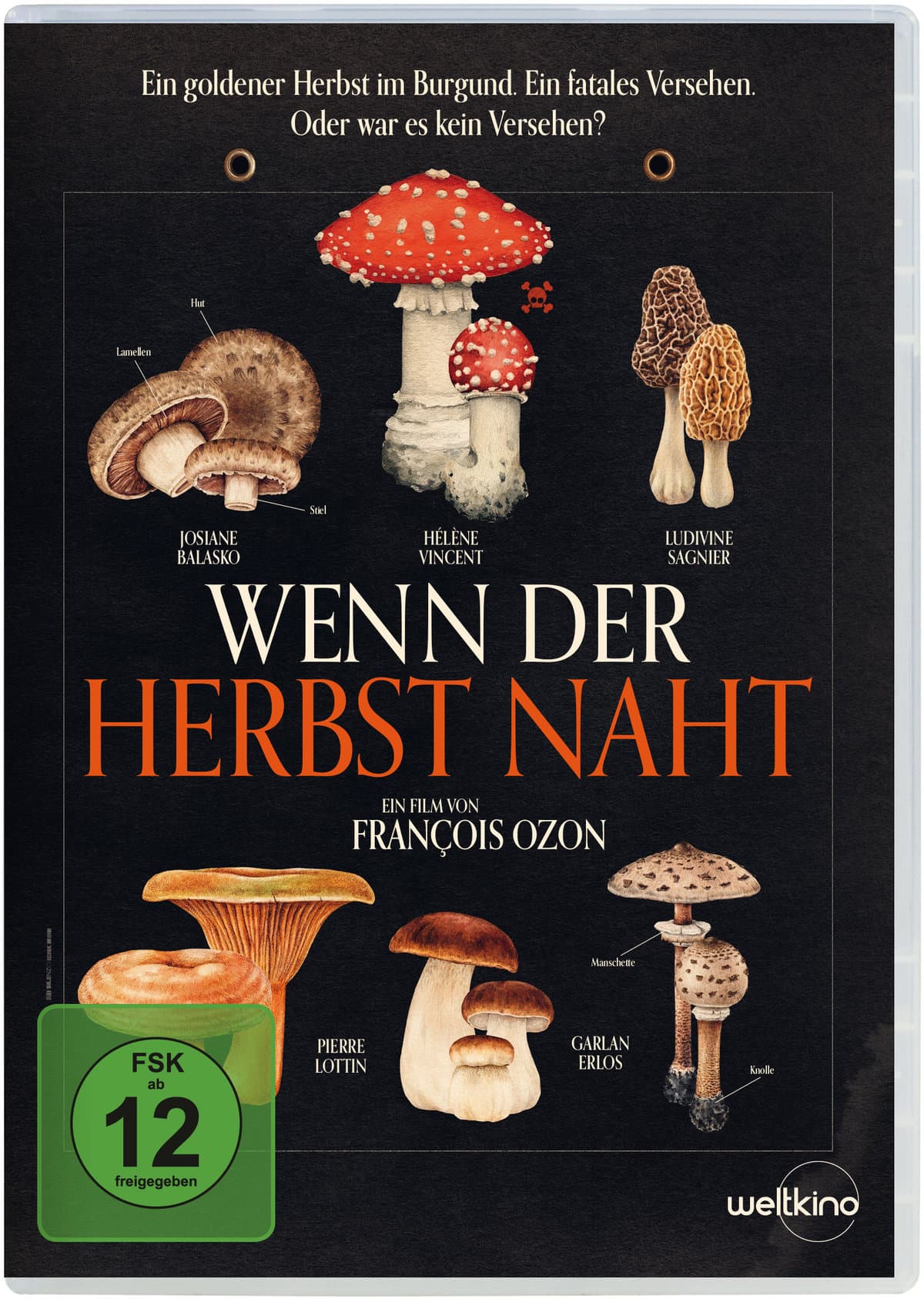 Wenn der Herbst naht