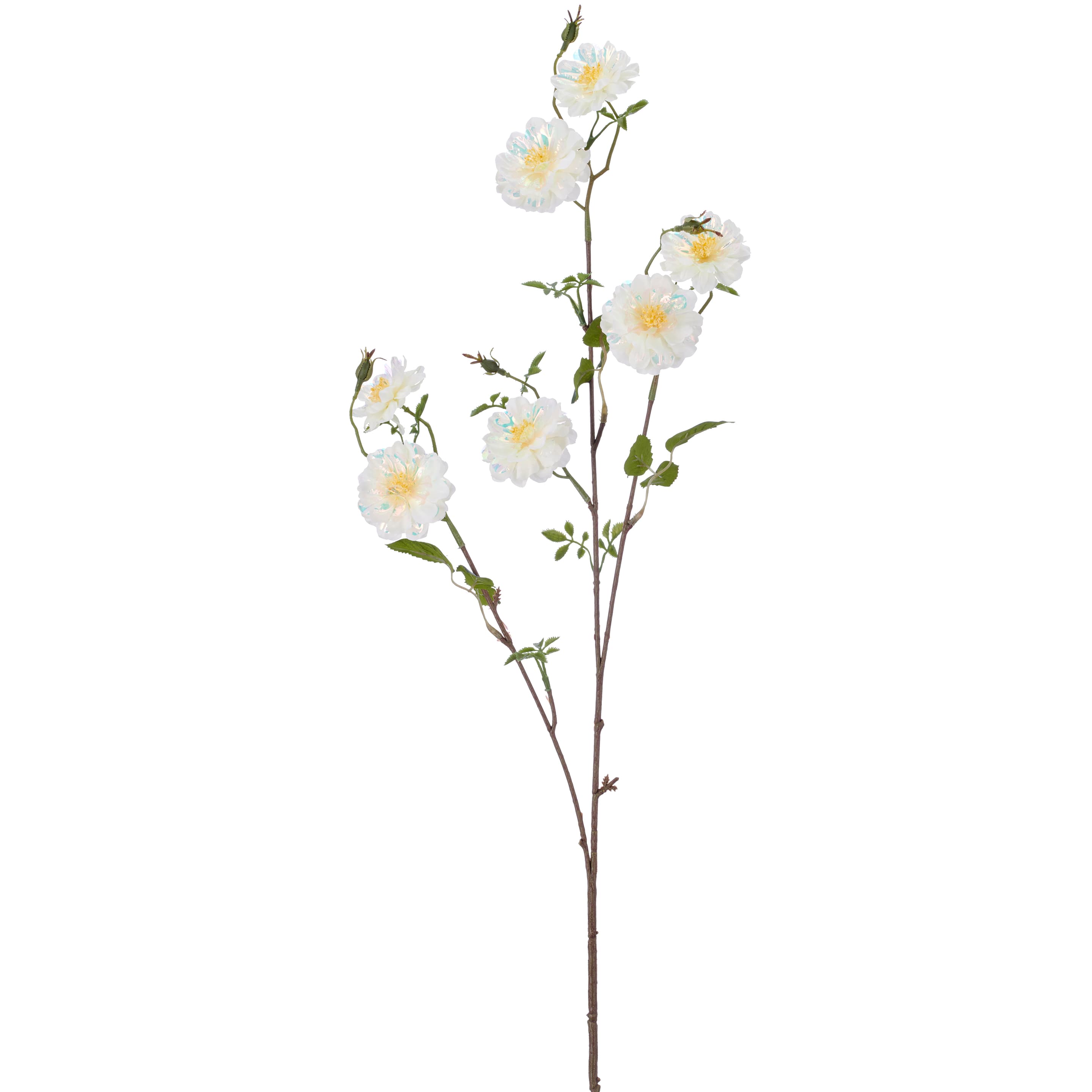 CREATIVE GREEN Kunstblume Rosenzweig