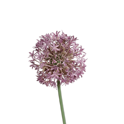 Kunstblume Allium