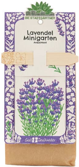 DIE STADTGÄRTNER Minigarten Bio Lavendel