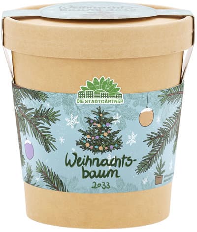 DIE STADTGÄRTNER Weihnachtsbaum 2033 aus dem Becher