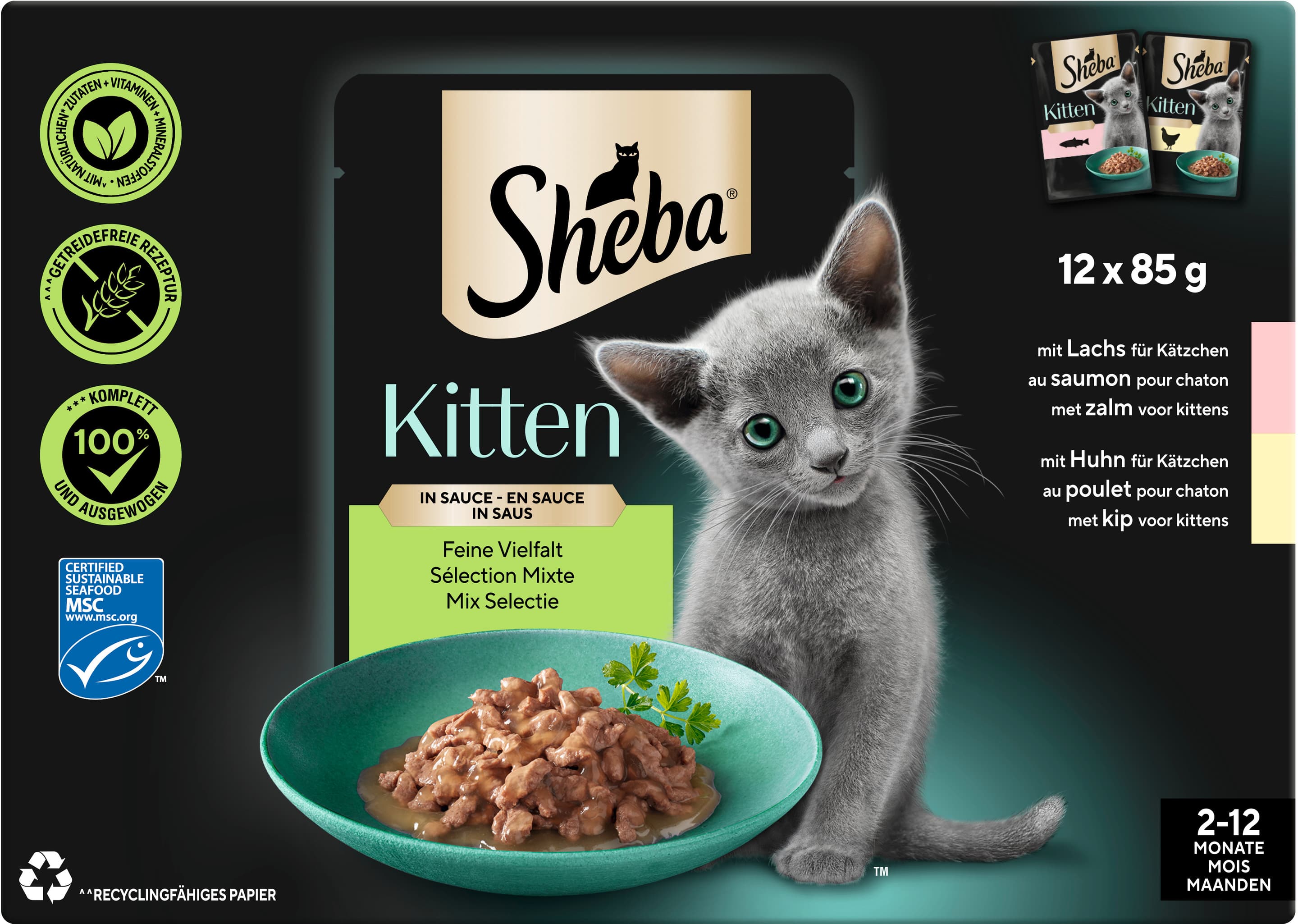 Sheba Kitten v omáčke Fine Variety 12x85g