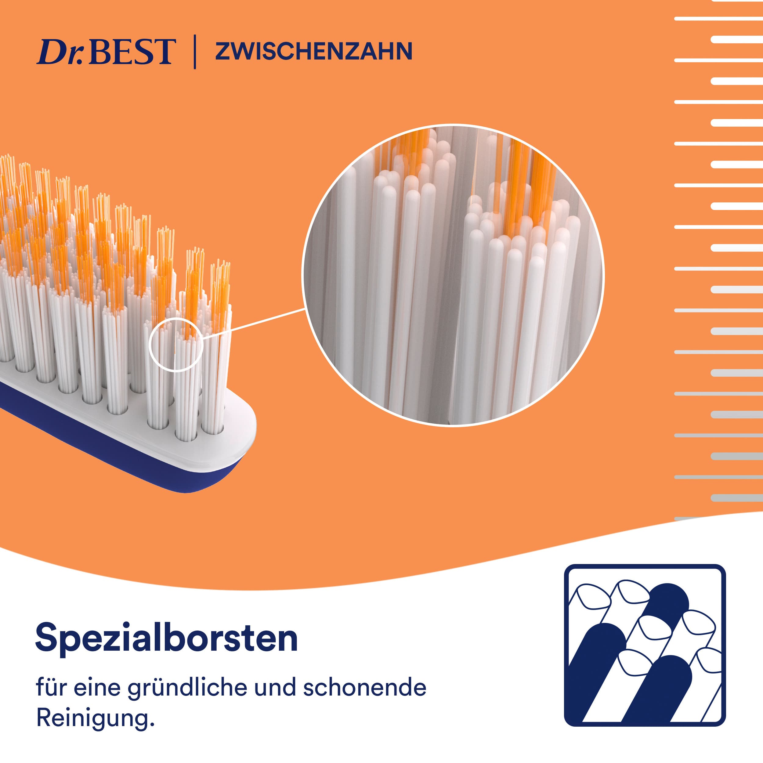 Dr.BEST Zwischenzahn weich Zahnbrste online bestellen | MLLER Dr.BEST Zwischenzahn weich Zahnbrste online bestellen | MLLER
