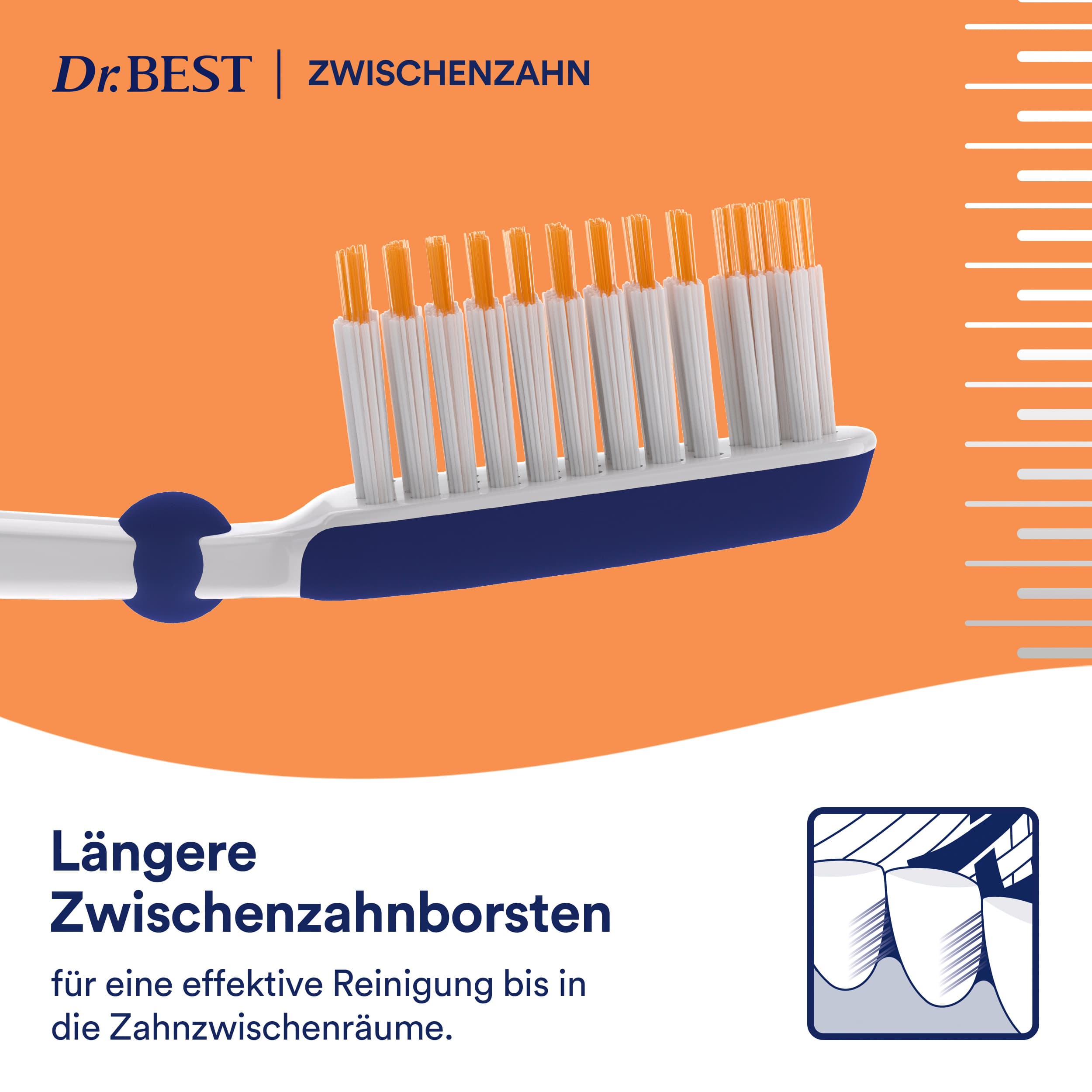 Dr.BEST Zwischenzahn weich Zahnbrste online bestellen | MLLER Dr.BEST Zwischenzahn weich Zahnbrste online bestellen | MLLER