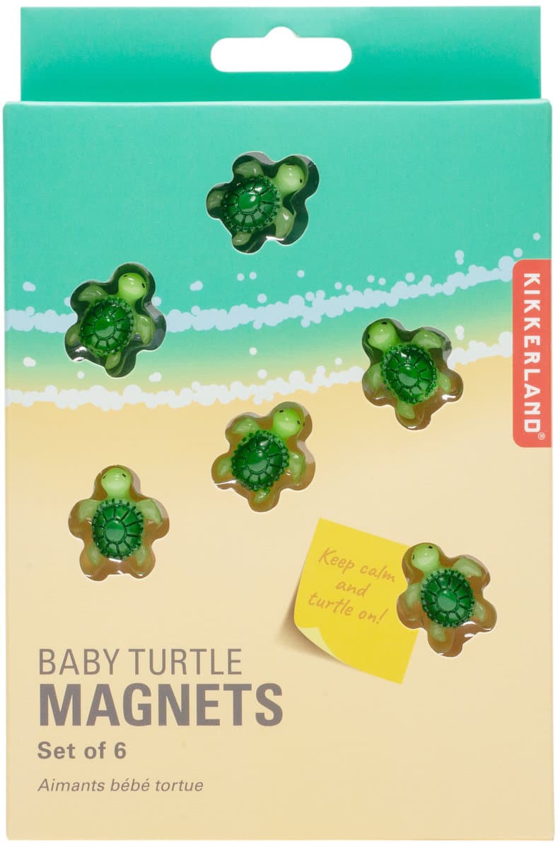 Kikkerland Magnete Schildkröte 6er Pack